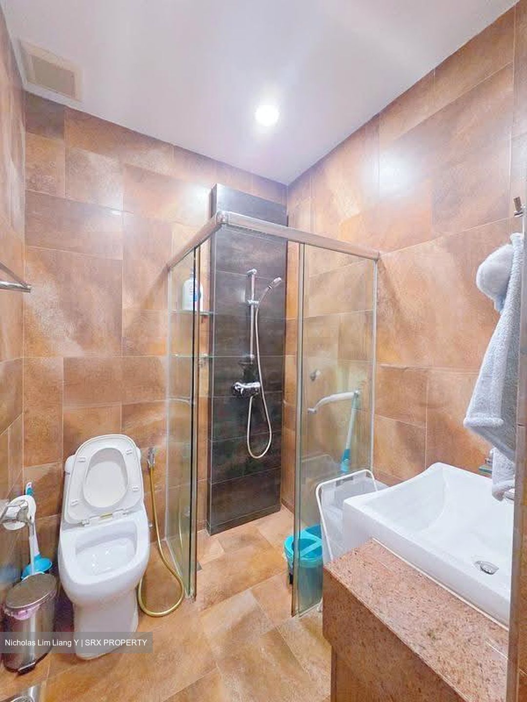 Golden Hill Estate (D19), Terrace #623632401
